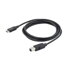 Cavo USB-C a USB-B da 2m - M/M