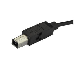 Cavo USB-C a USB-B da 2m - M/M