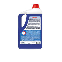 PAVIMENTI IGIENIZZ 5KG CONF.2